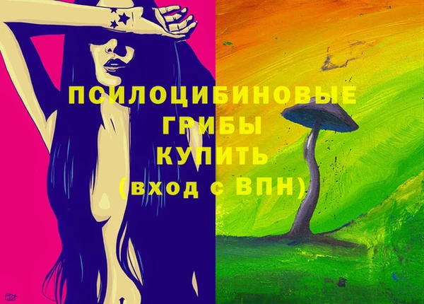 амф Новокубанск