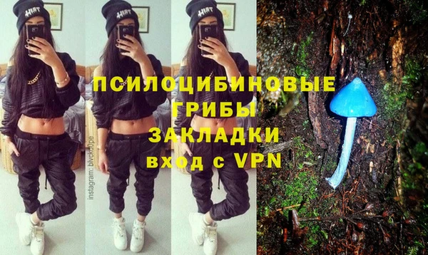 каннабис Новозыбков