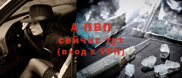 амф Новокубанск