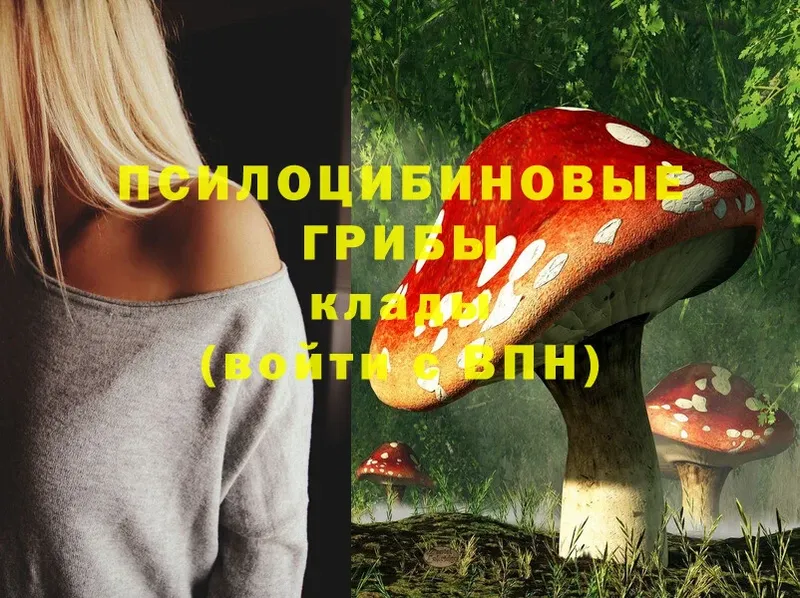 Псилоцибиновые грибы Cubensis  Краснообск 