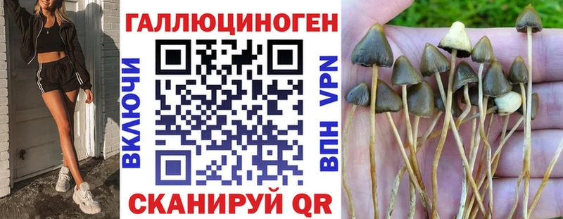 что такое   hydra вход  Галлюциногенные грибы GOLDEN TEACHER  Краснообск 